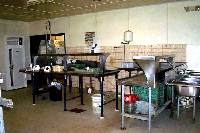 Bayside Hotel (Bayside Inn, The Surf) - Real Estate Listing Photo (newer photo)